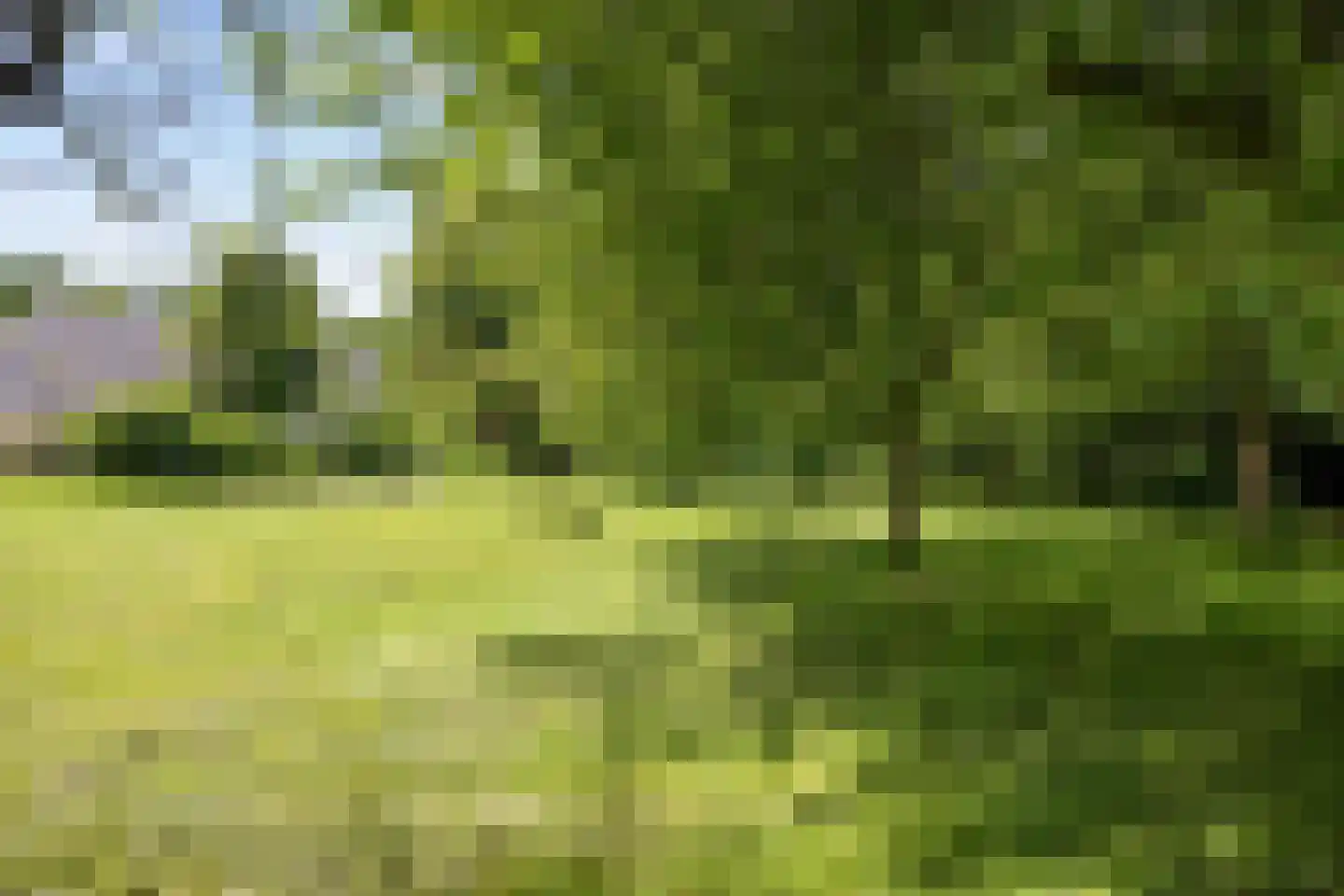 Meenteweg 6 Overschild thumbnail 108