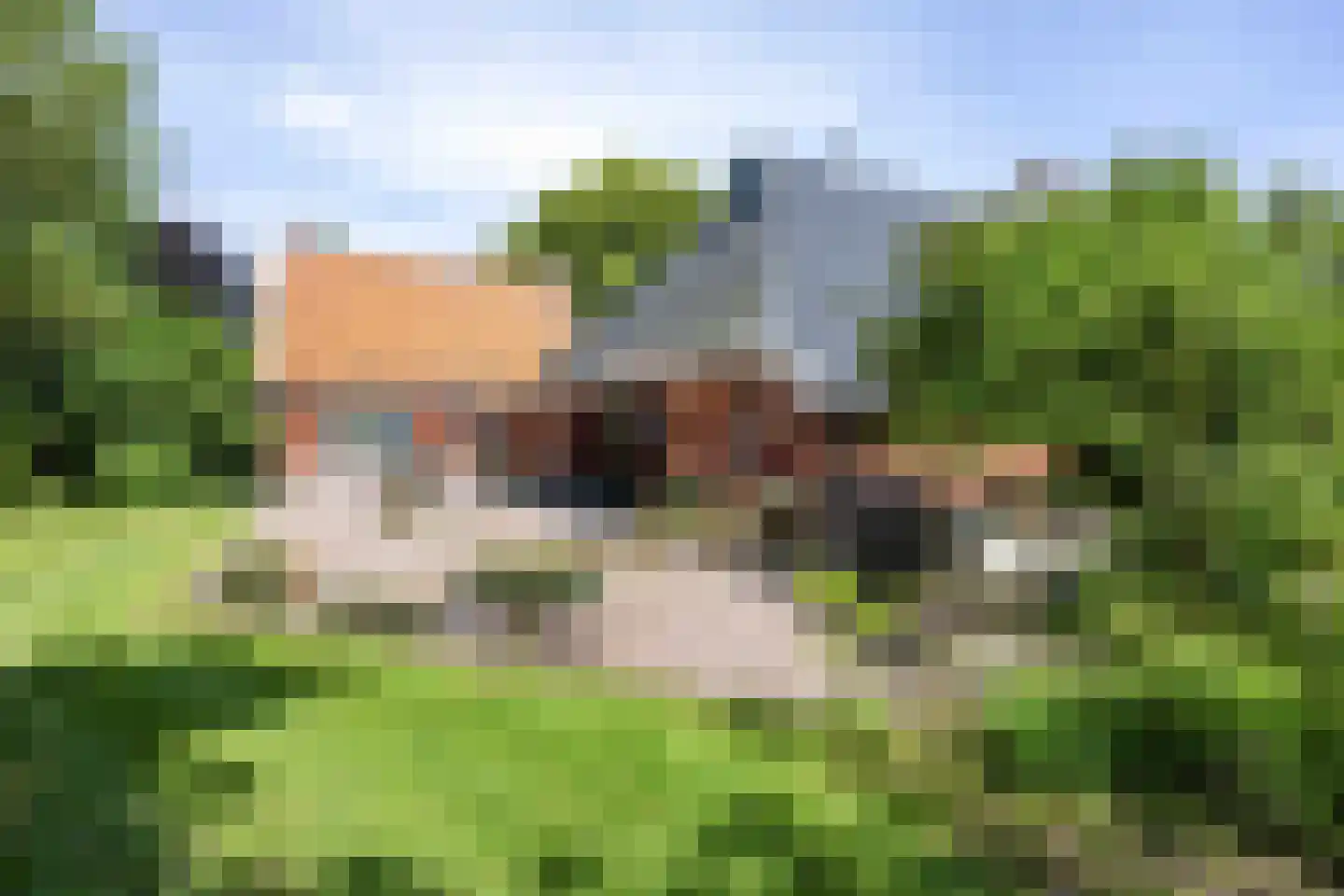 Meenteweg 6 Overschild thumbnail 11