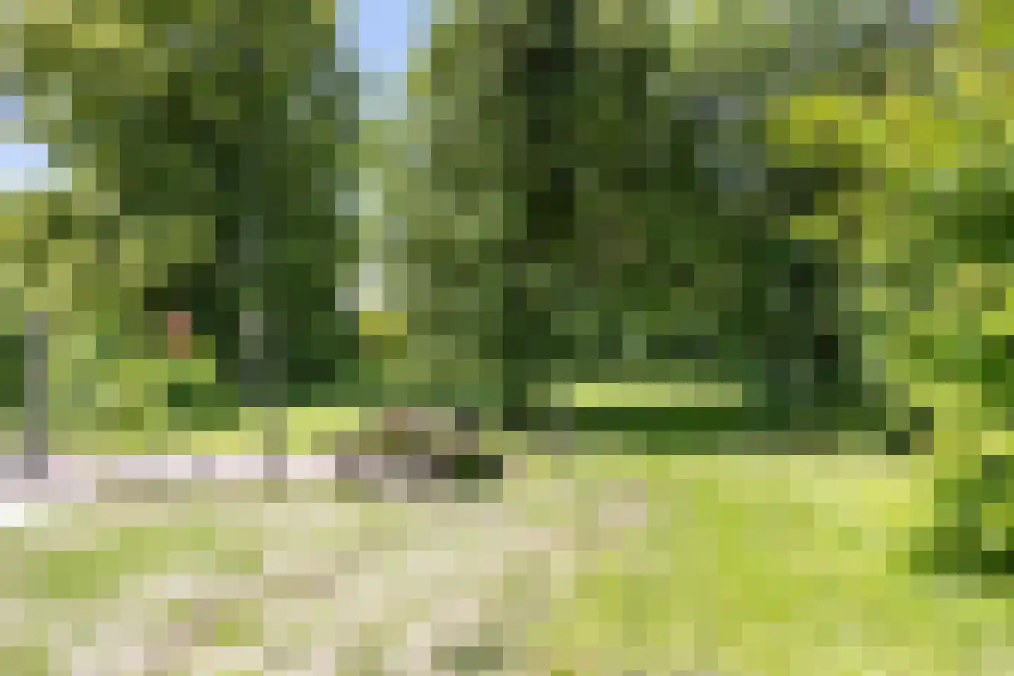 Meenteweg 6 Overschild thumbnail 110
