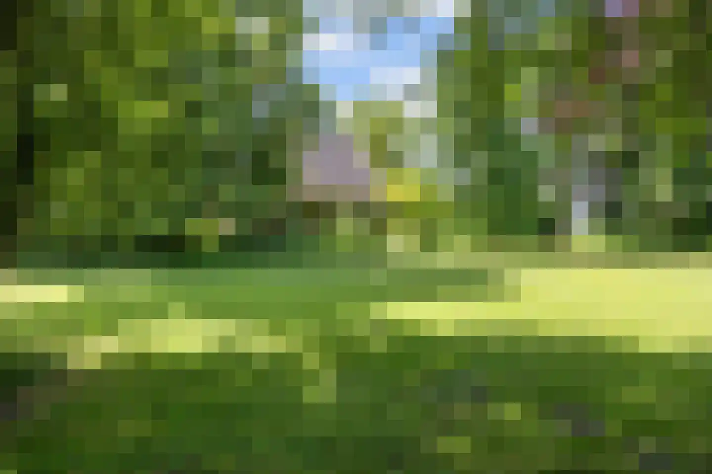 Meenteweg 6 Overschild thumbnail 111