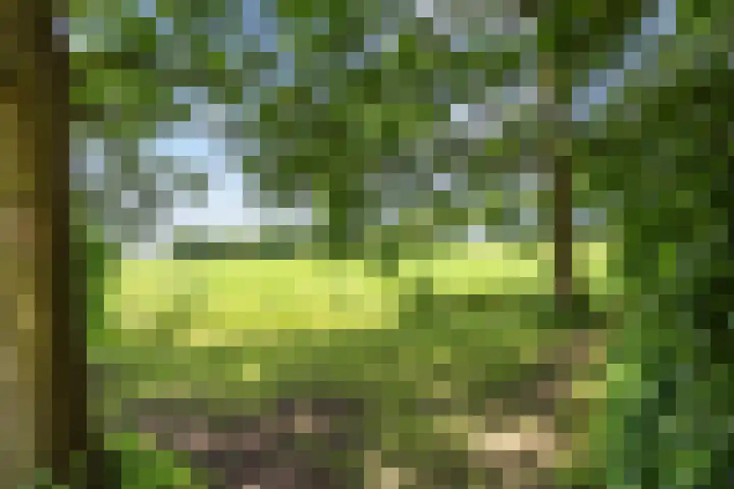 Meenteweg 6 Overschild thumbnail 114