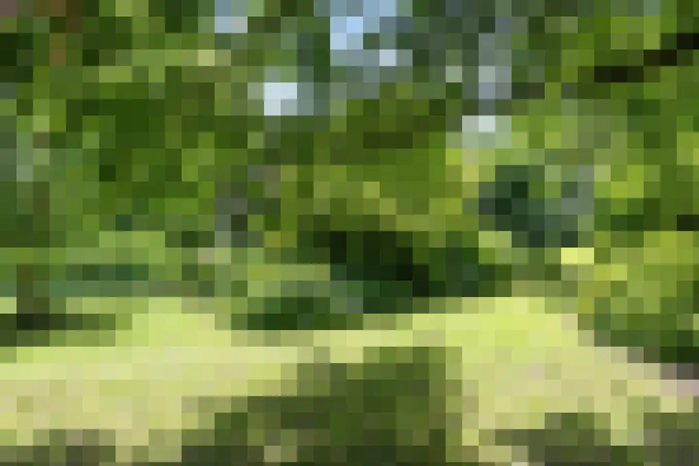 Meenteweg 6 Overschild thumbnail 115