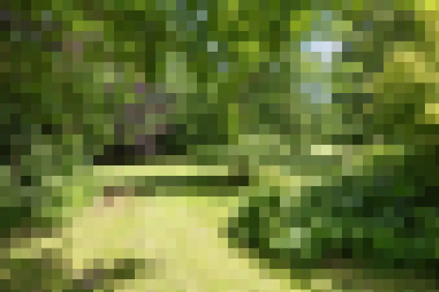 Meenteweg 6 Overschild thumbnail 116