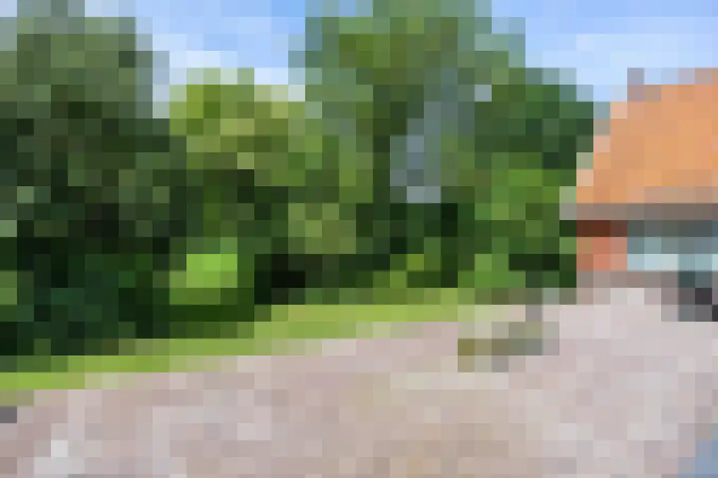 Meenteweg 6 Overschild thumbnail 25