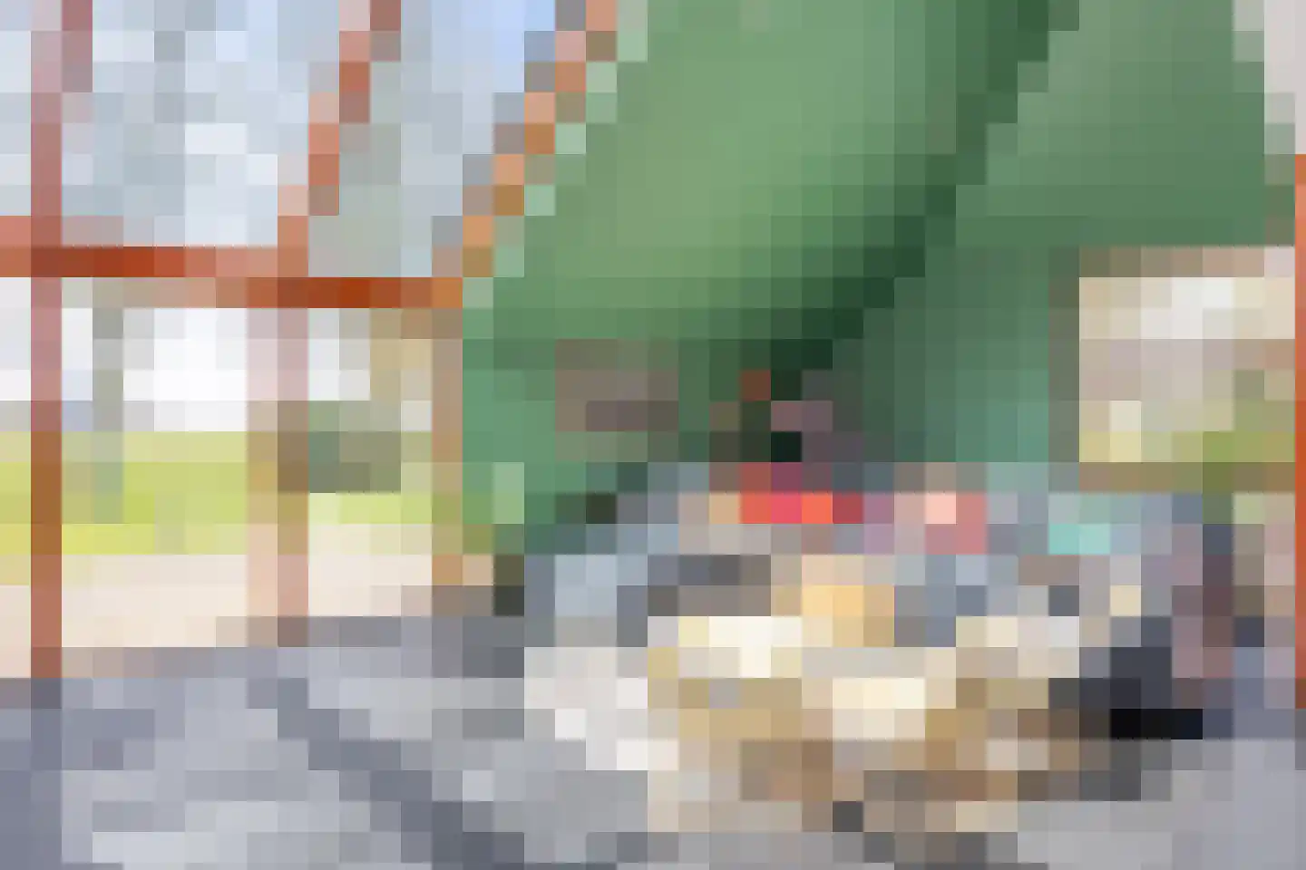 Meenteweg 6 Overschild thumbnail 29