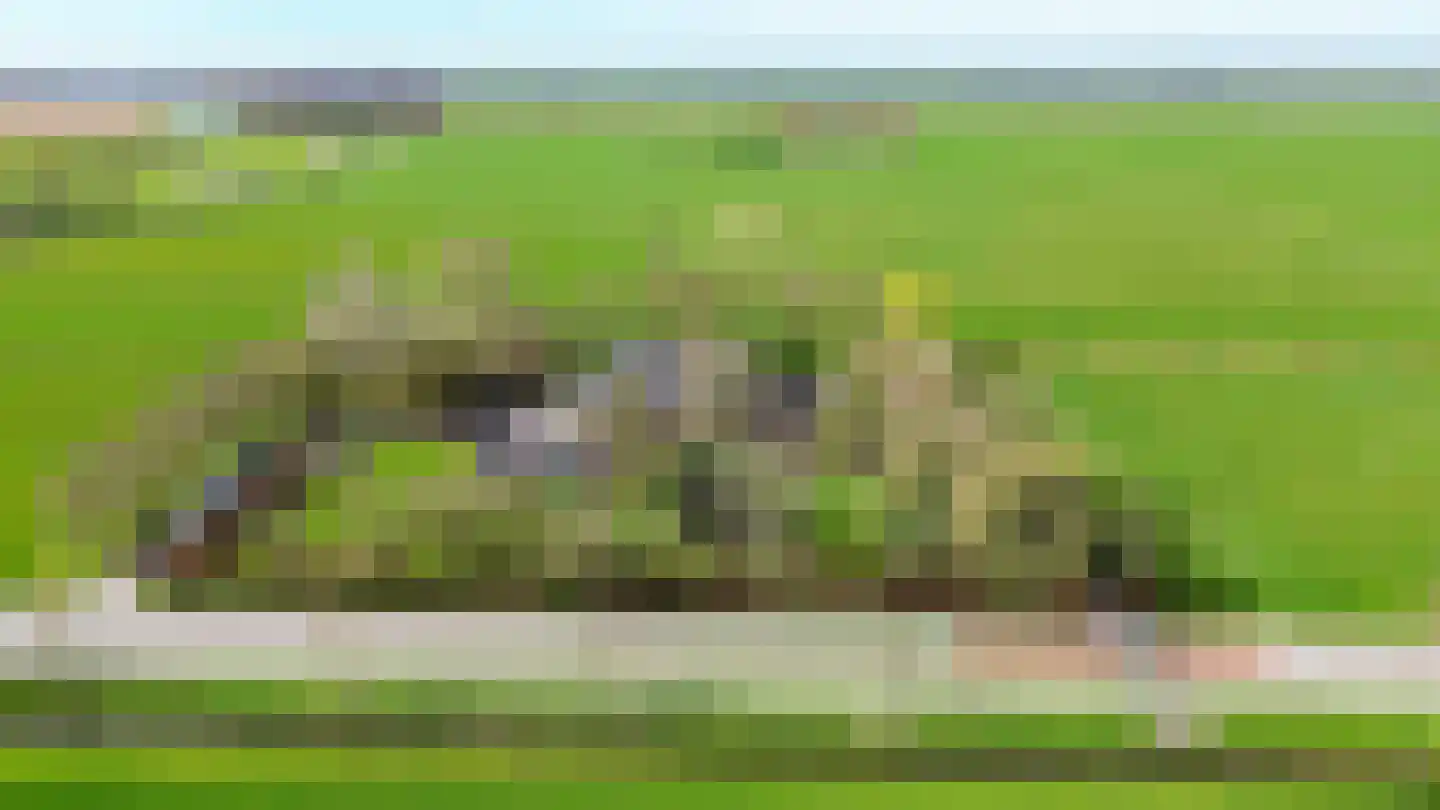 Meenteweg 6 Overschild thumbnail 4