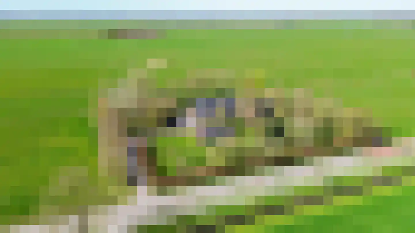 Meenteweg 6 Overschild thumbnail 5