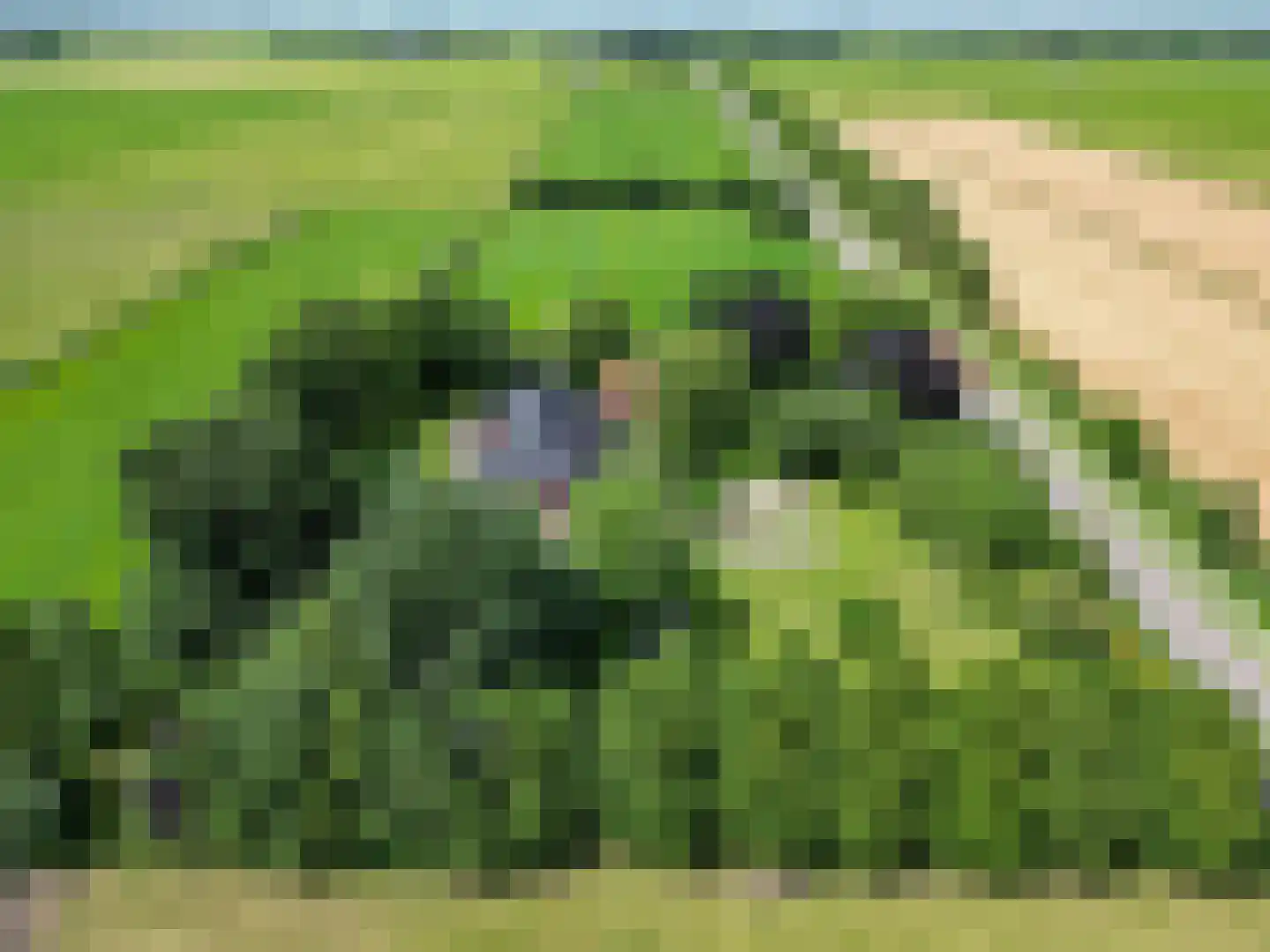 Meenteweg 6 Overschild thumbnail 5