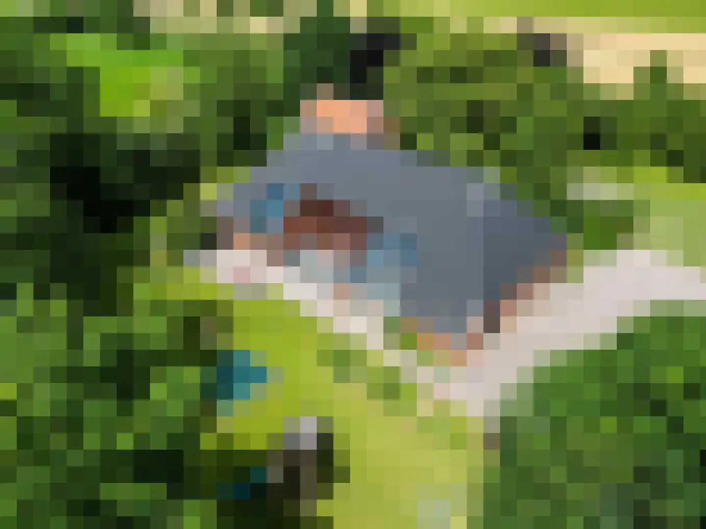 Meenteweg 6 Overschild thumbnail 6