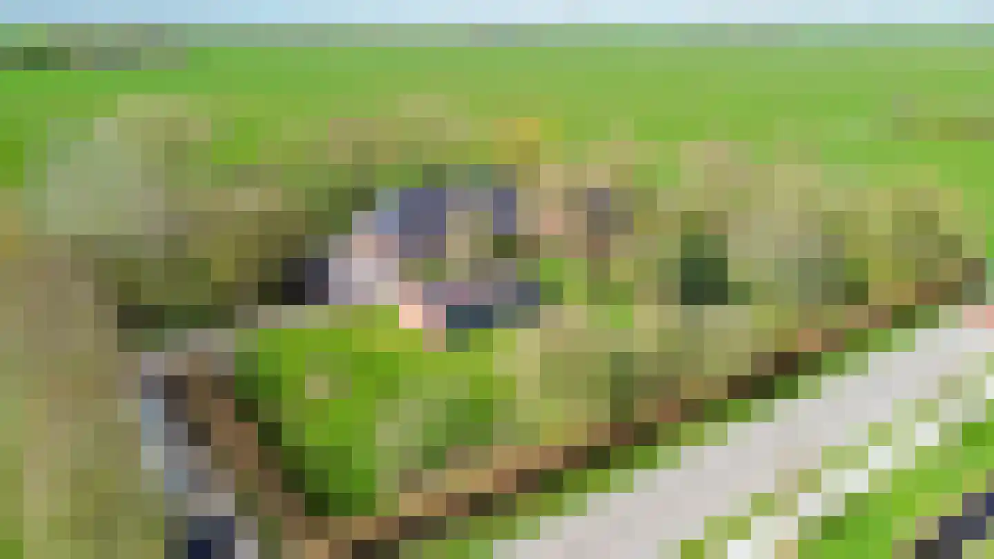 Meenteweg 6 Overschild thumbnail 6