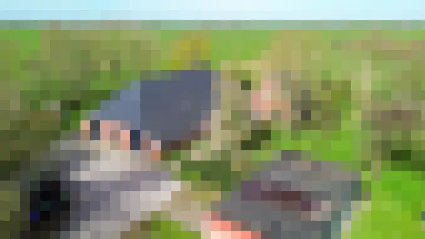 Meenteweg 6 Overschild thumbnail 7