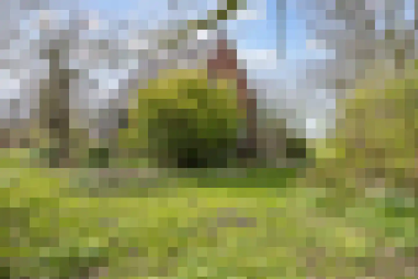 Meenteweg 6 Overschild thumbnail 78