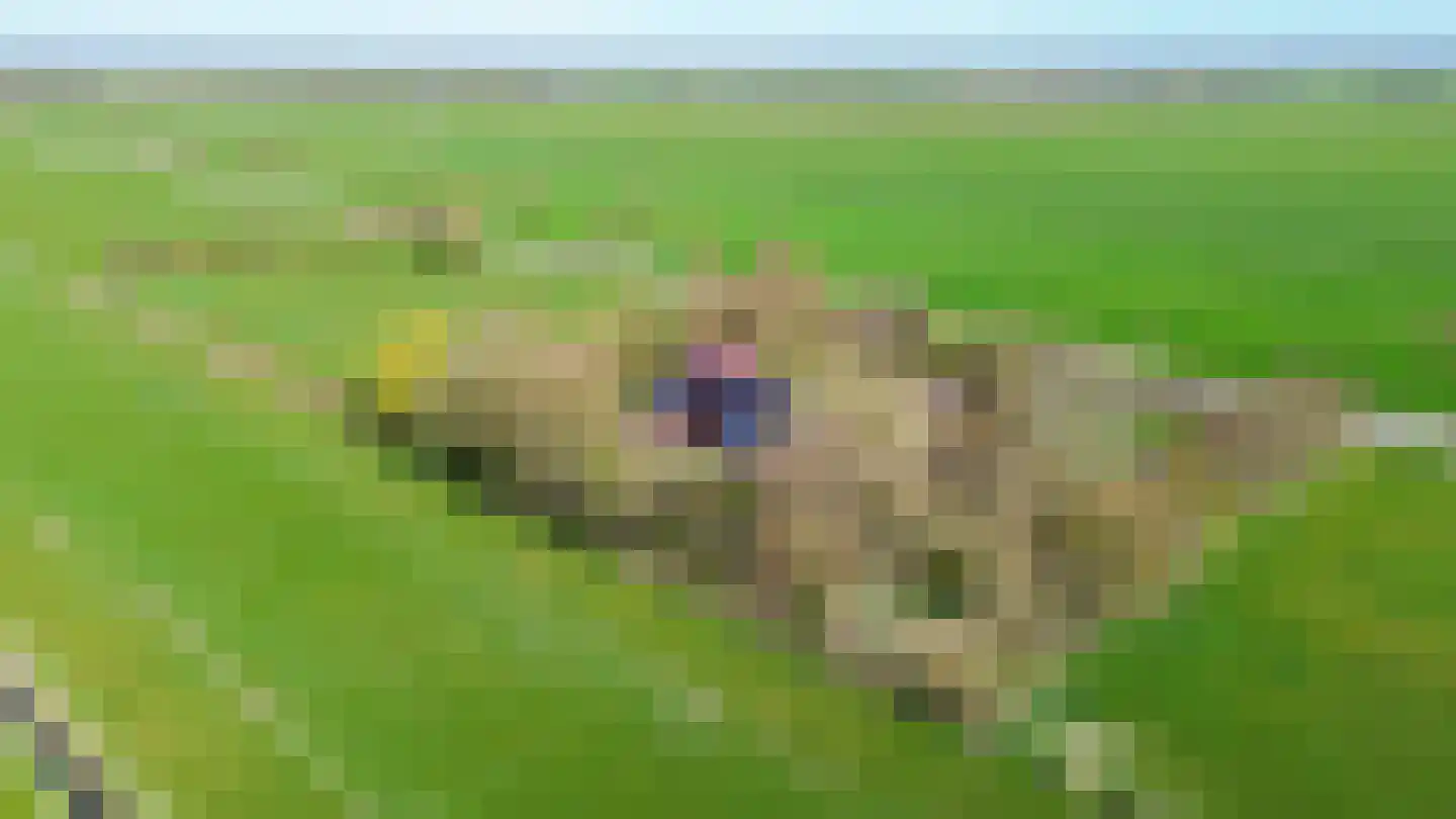Meenteweg 6 Overschild thumbnail 8