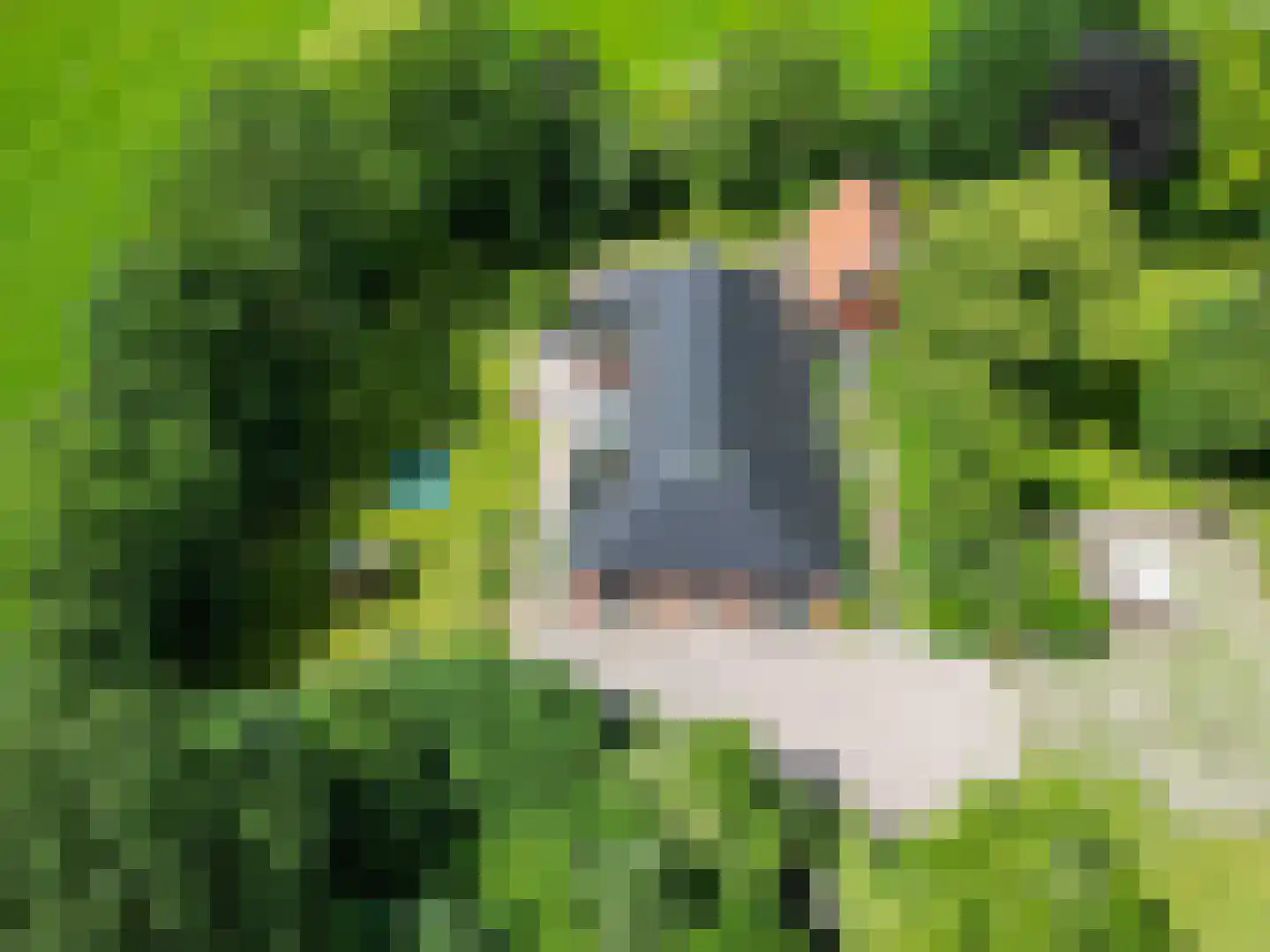 Meenteweg 6 Overschild thumbnail 8
