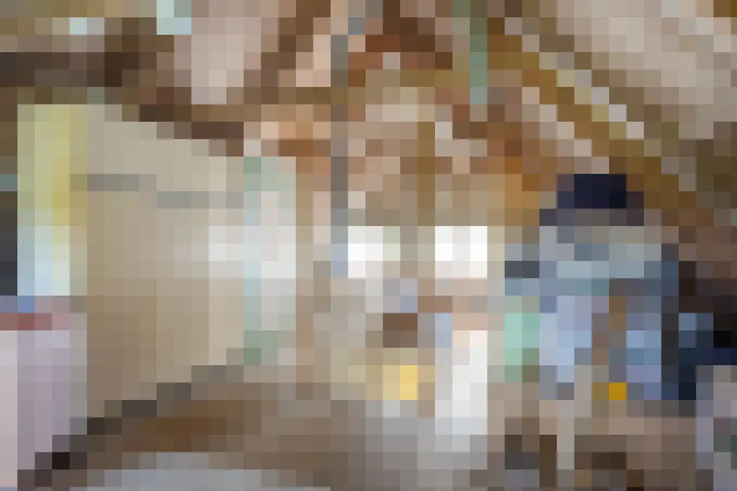 Meenteweg 6 Overschild thumbnail 81