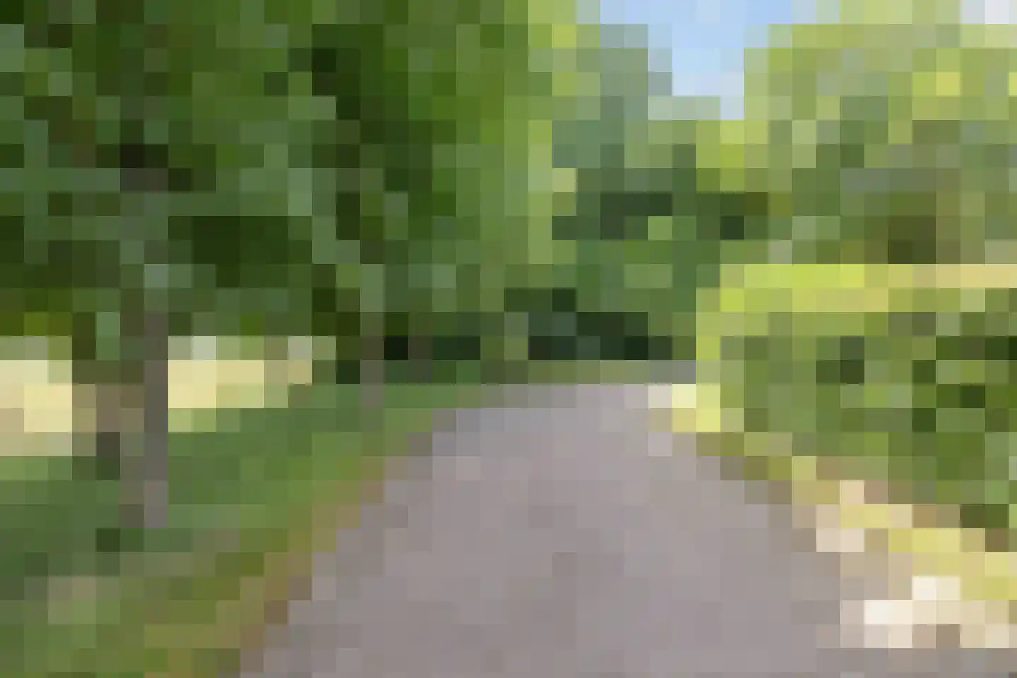 Meenteweg 6 Overschild thumbnail 86