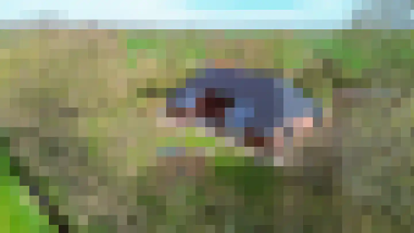 Meenteweg 6 Overschild thumbnail 9