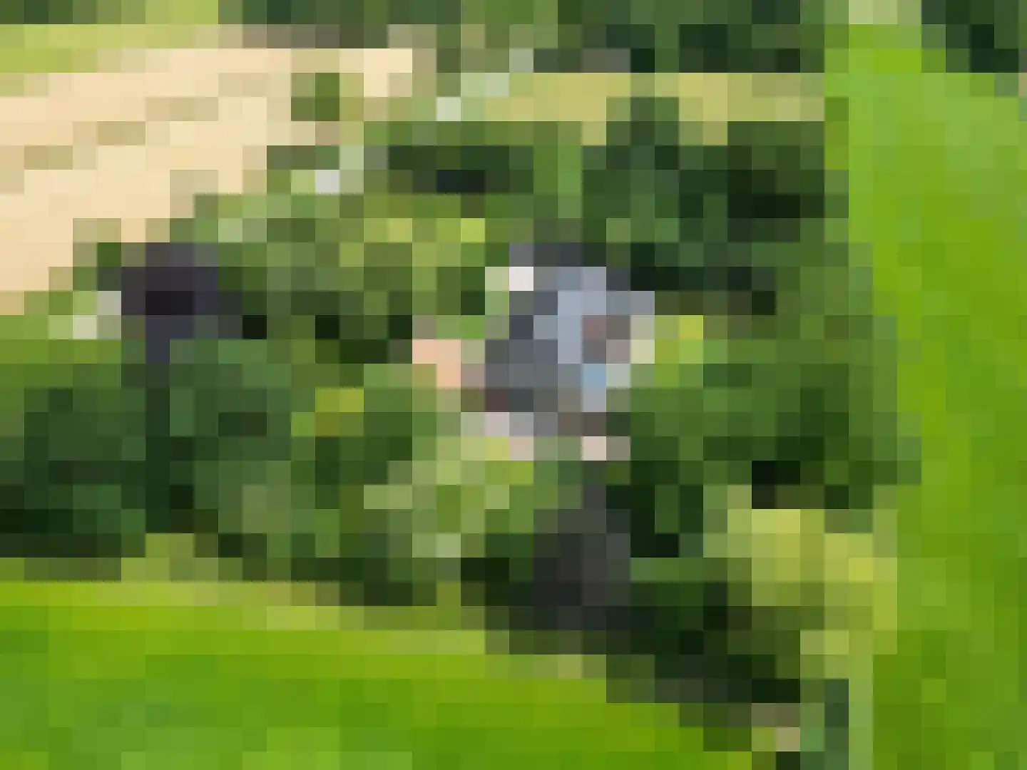 Meenteweg 6 Overschild thumbnail 9