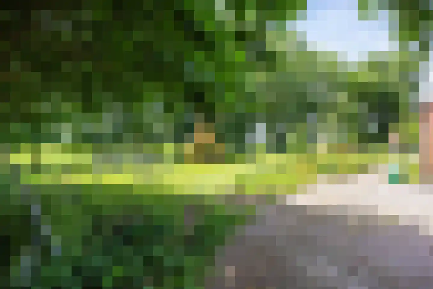 Meenteweg 6 Overschild thumbnail 90