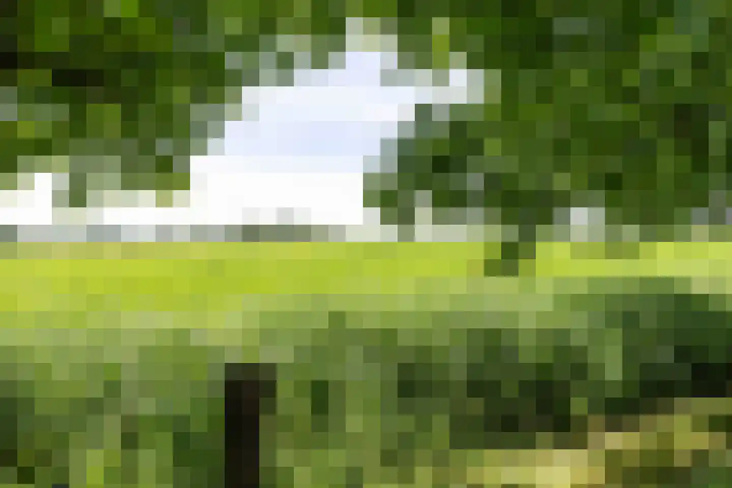 Meenteweg 6 Overschild thumbnail 91