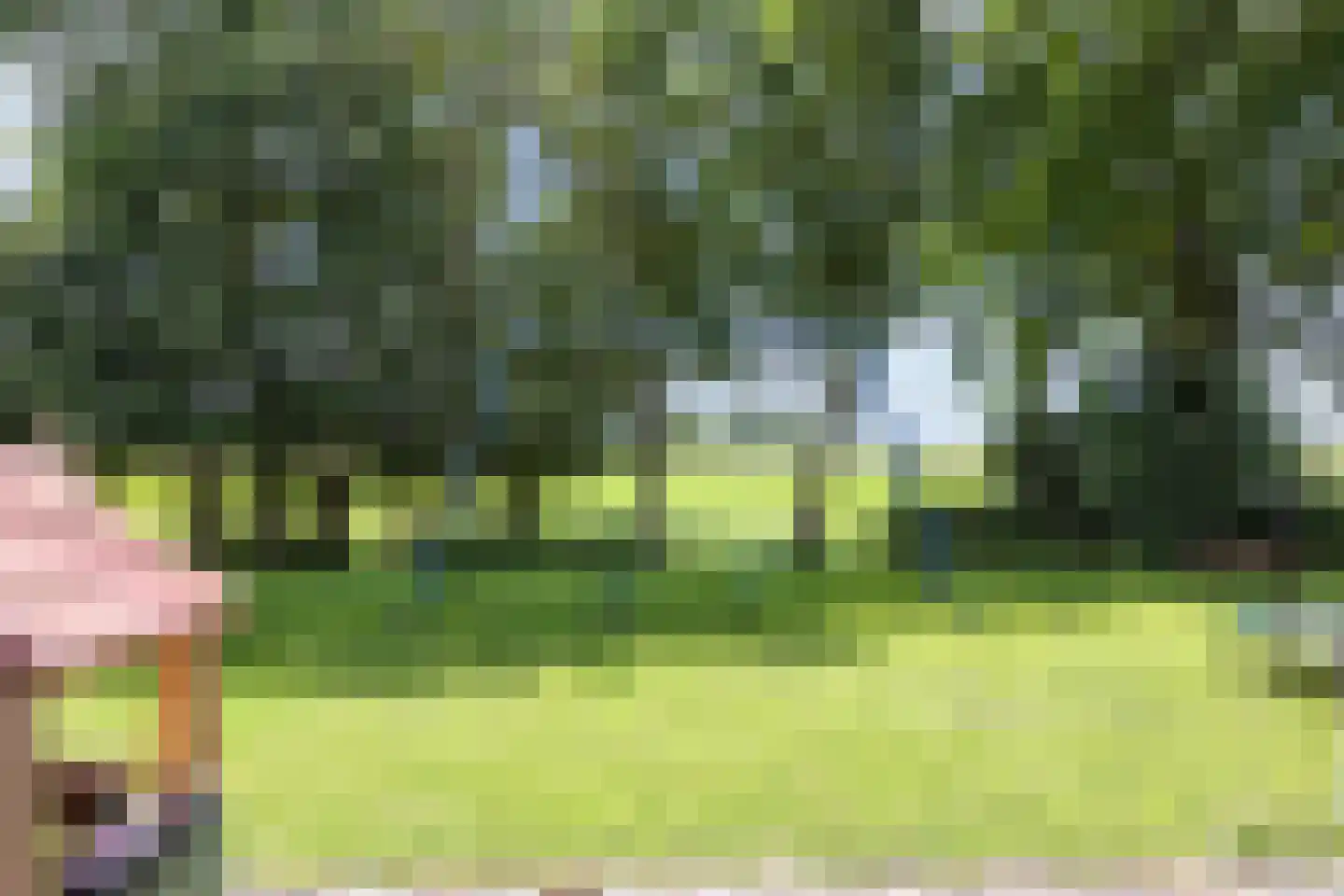 Meenteweg 6 Overschild thumbnail 97