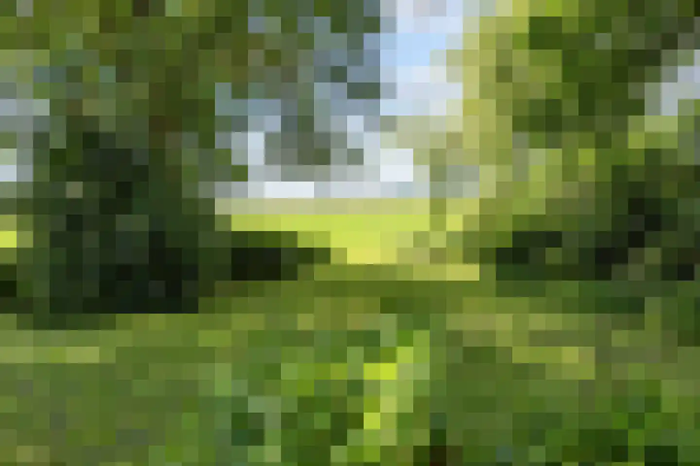 Meenteweg 6 Overschild thumbnail 98