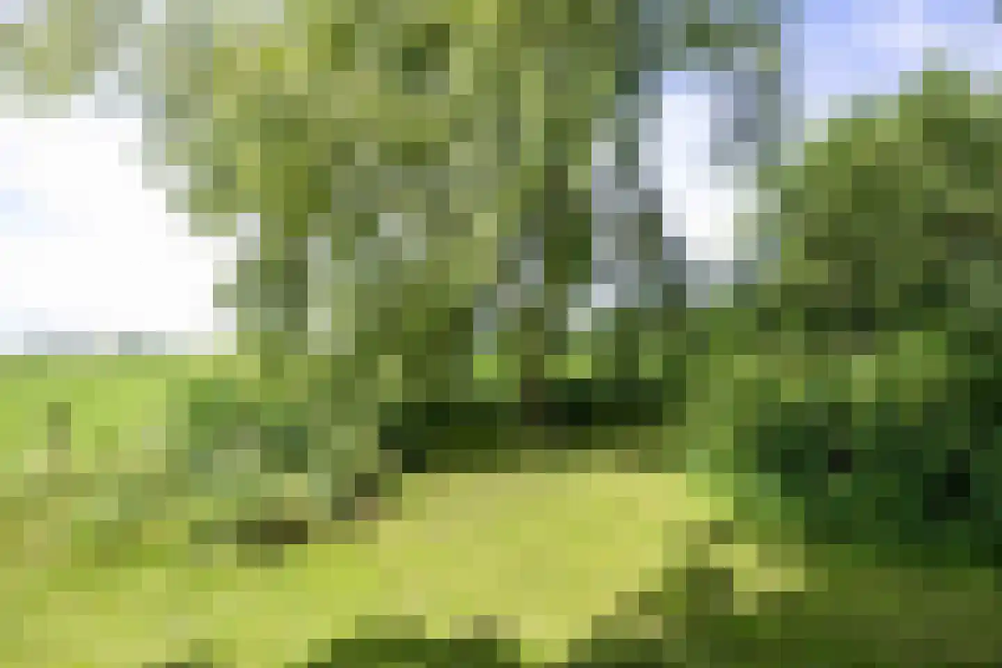 Meenteweg 6 Overschild thumbnail 99