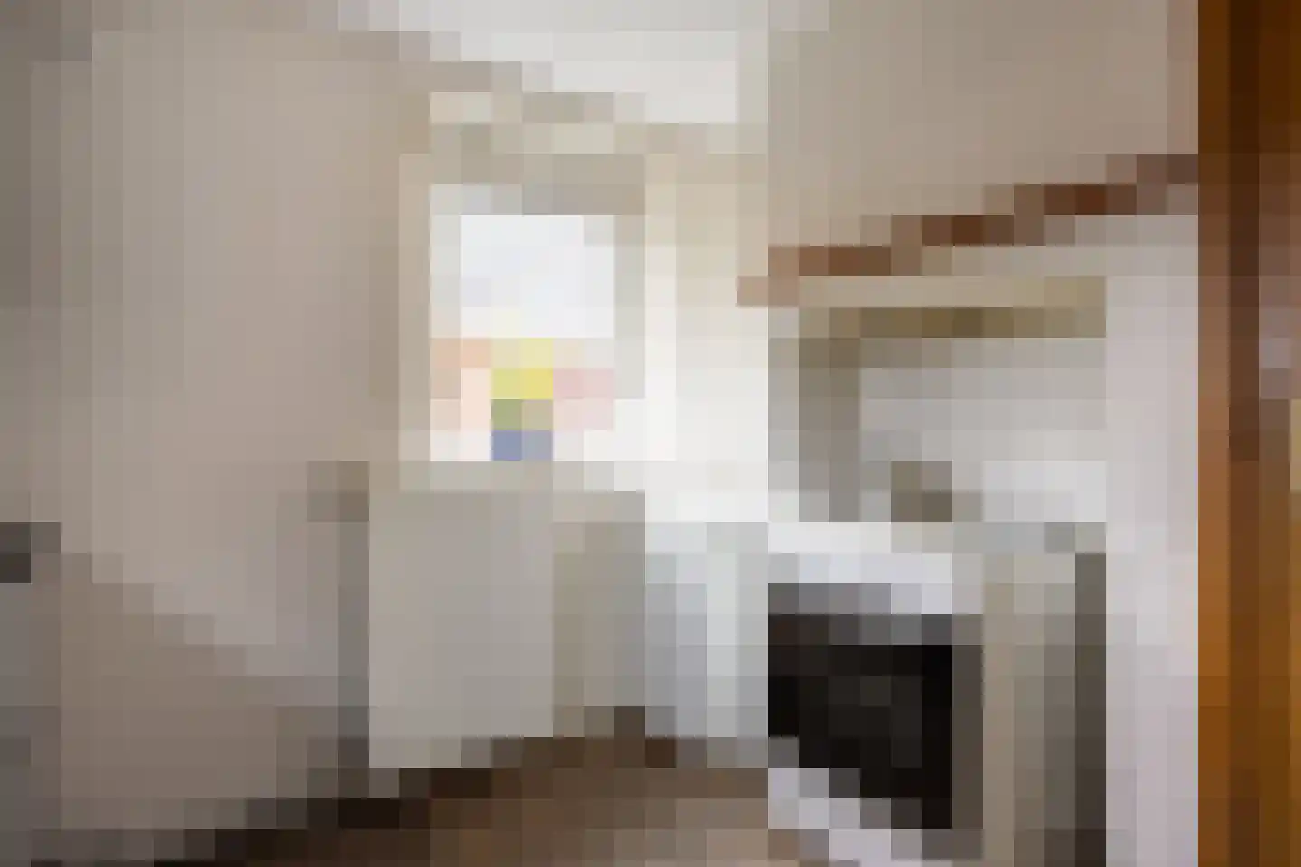 Meenteweg 67 Schildwolde thumbnail 26