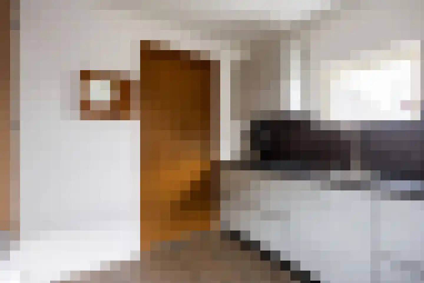 Meenteweg 67 Schildwolde thumbnail 27