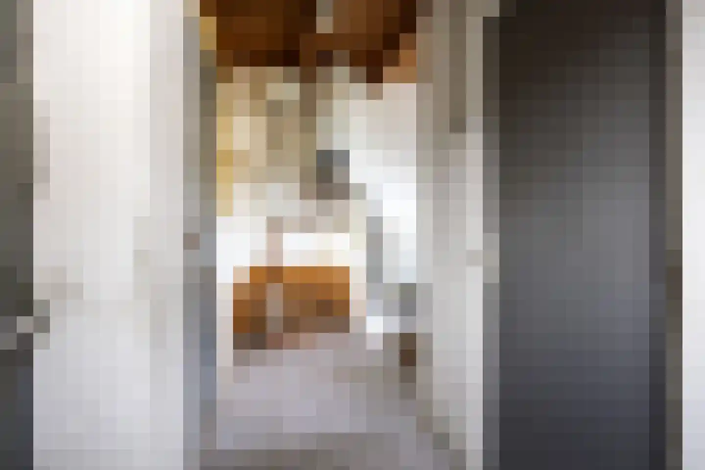 Meenteweg 67 Schildwolde thumbnail 30