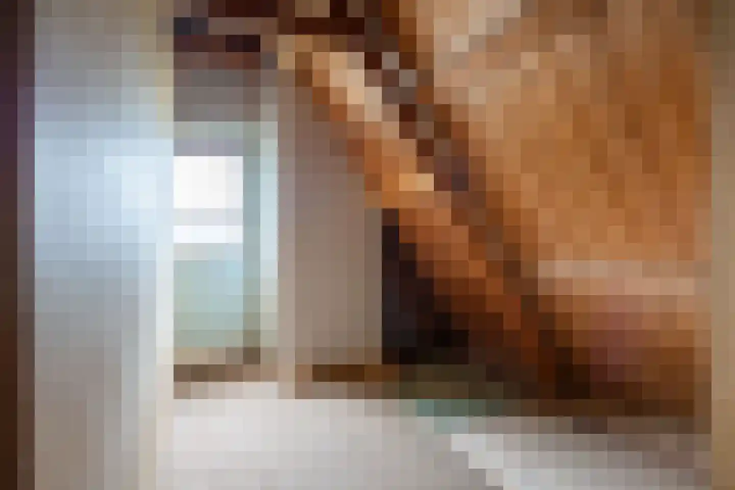 Meenteweg 67 Schildwolde thumbnail 37
