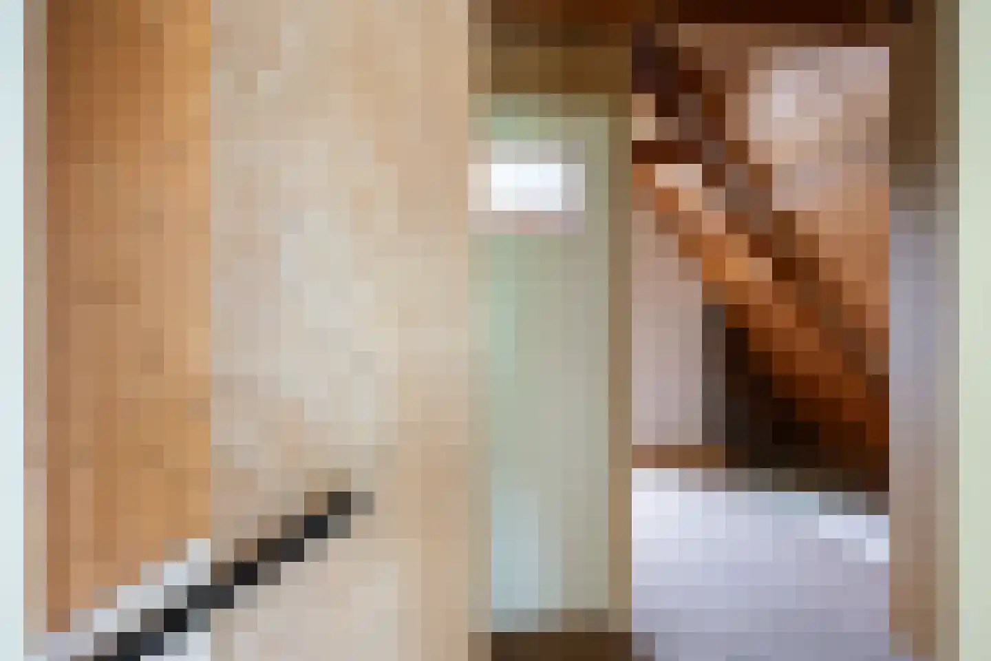 Meenteweg 67 Schildwolde thumbnail 38