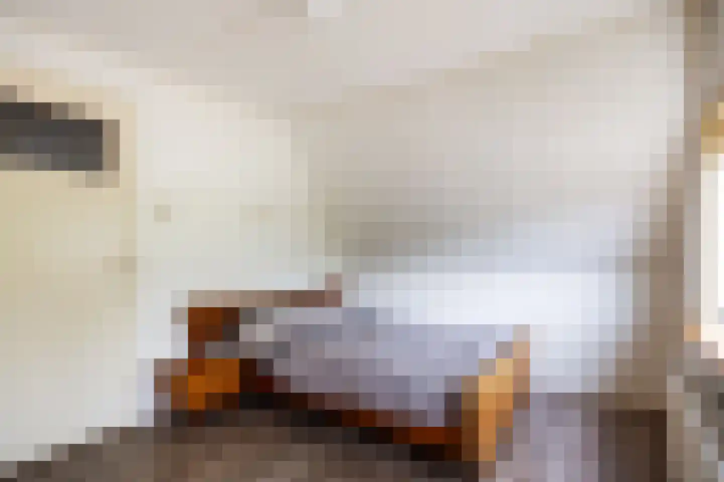 Meenteweg 67 Schildwolde thumbnail 40