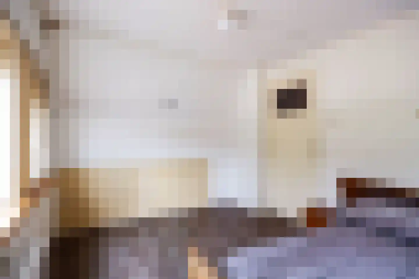 Meenteweg 67 Schildwolde thumbnail 41
