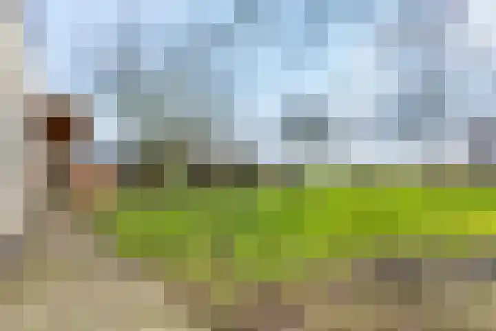 Meenteweg 7 Overschild thumbnail 108