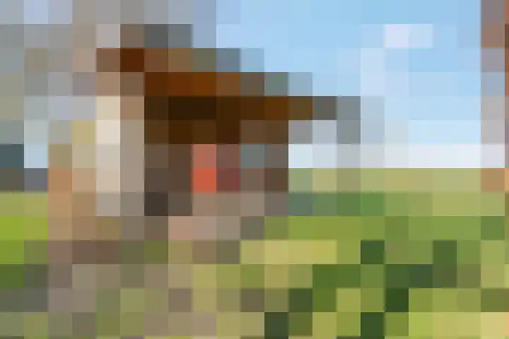 Meenteweg 7 Overschild thumbnail 110