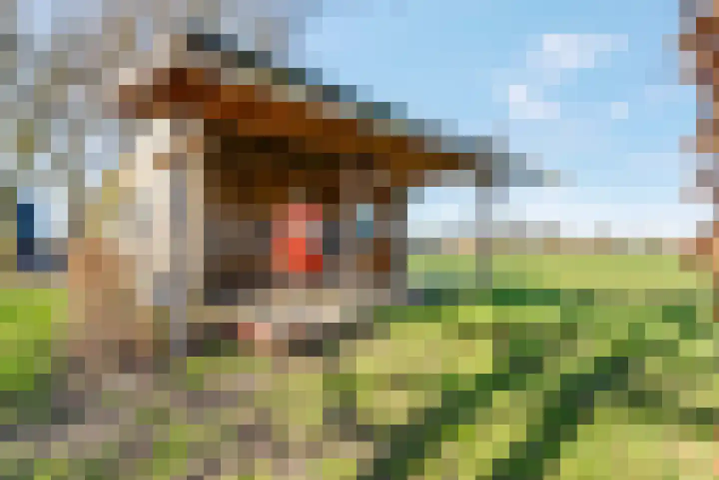 Meenteweg 7 Overschild thumbnail 110
