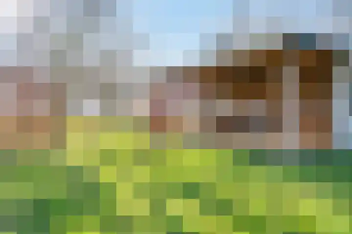 Meenteweg 7 Overschild thumbnail 111