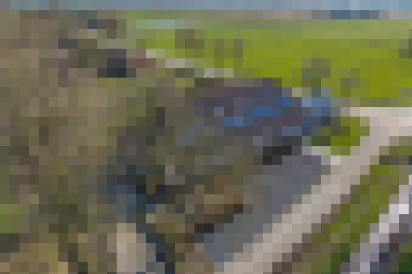 Meenteweg 7 Overschild thumbnail 114