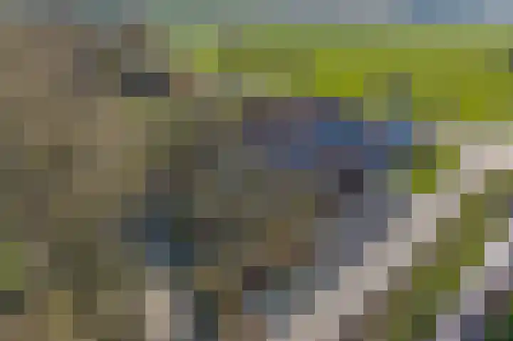 Meenteweg 7 Overschild thumbnail 114