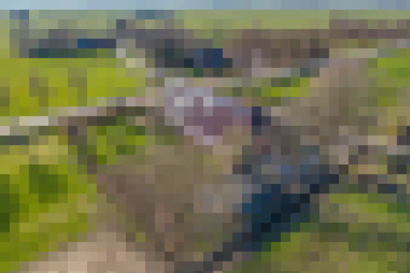 Meenteweg 7 Overschild thumbnail 115
