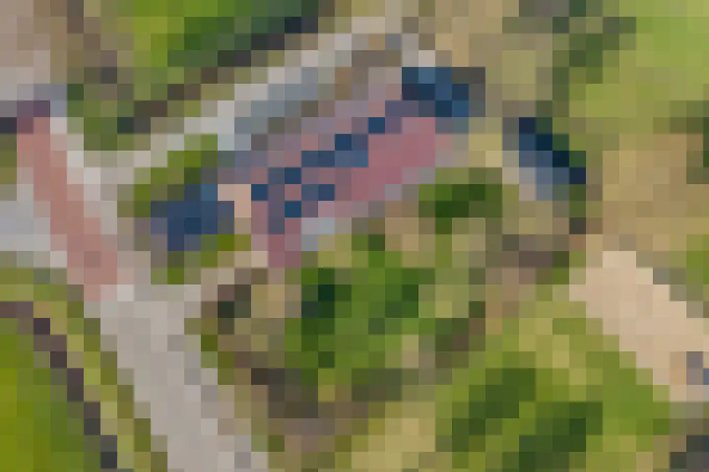 Meenteweg 7 Overschild thumbnail 117