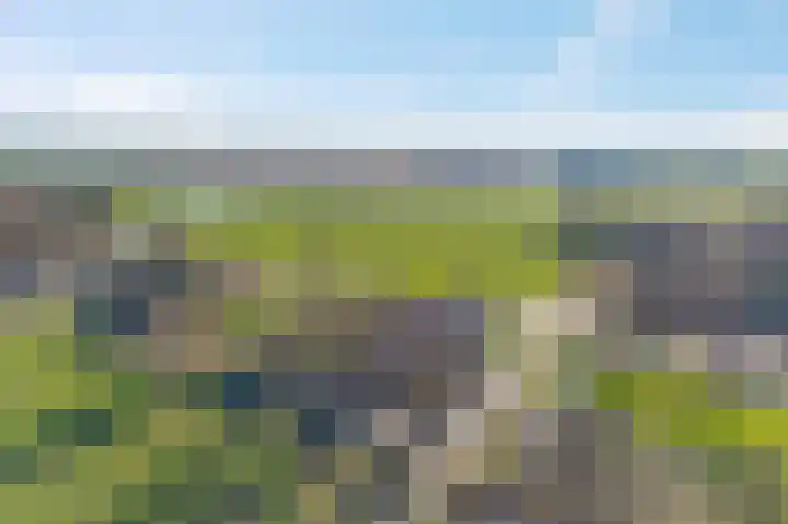 Meenteweg 7 Overschild thumbnail 118