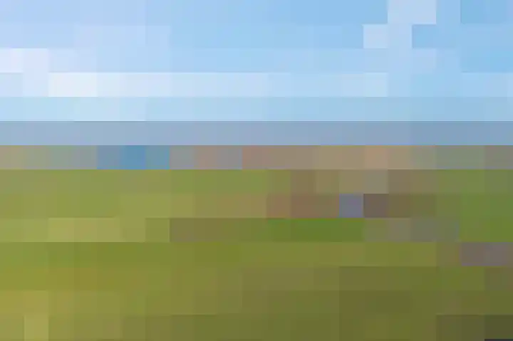 Meenteweg 7 Overschild thumbnail 15
