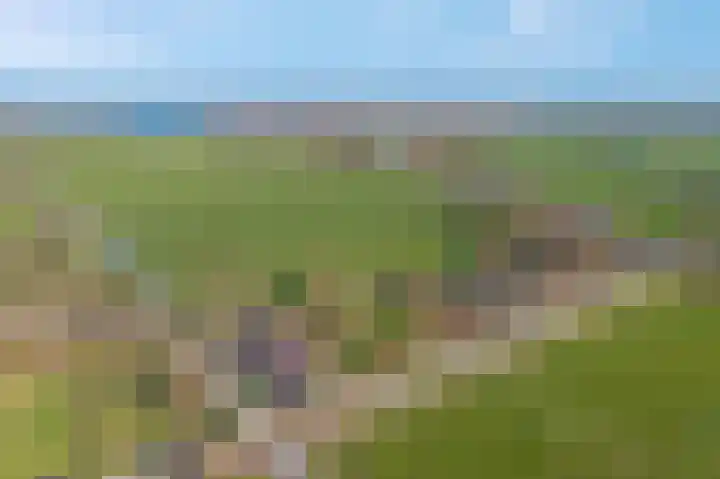 Meenteweg 7 Overschild thumbnail 16