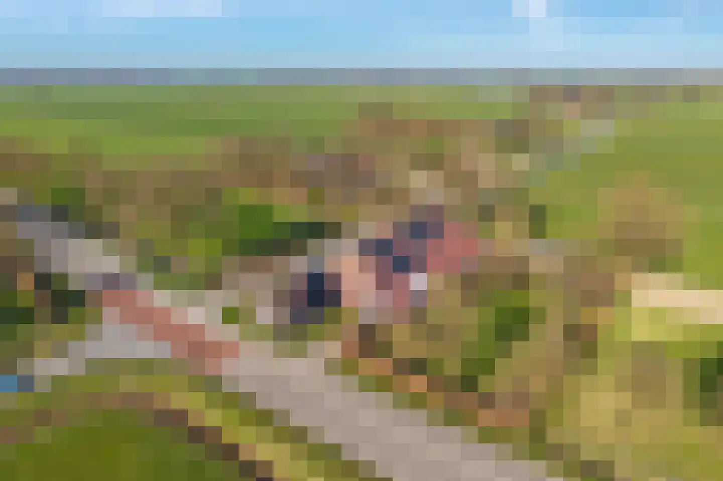 Meenteweg 7 Overschild thumbnail 17