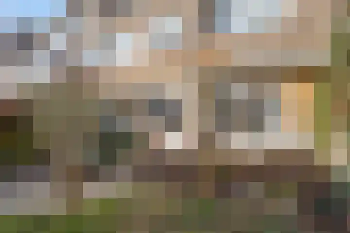 Meenteweg 75 Schildwolde thumbnail 15