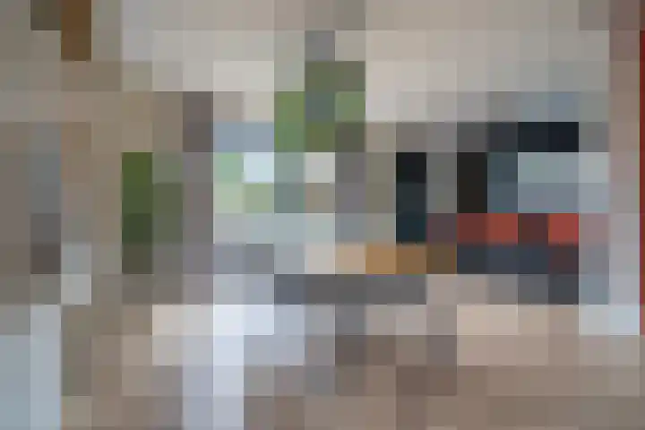 Meenteweg 75 Schildwolde thumbnail 15
