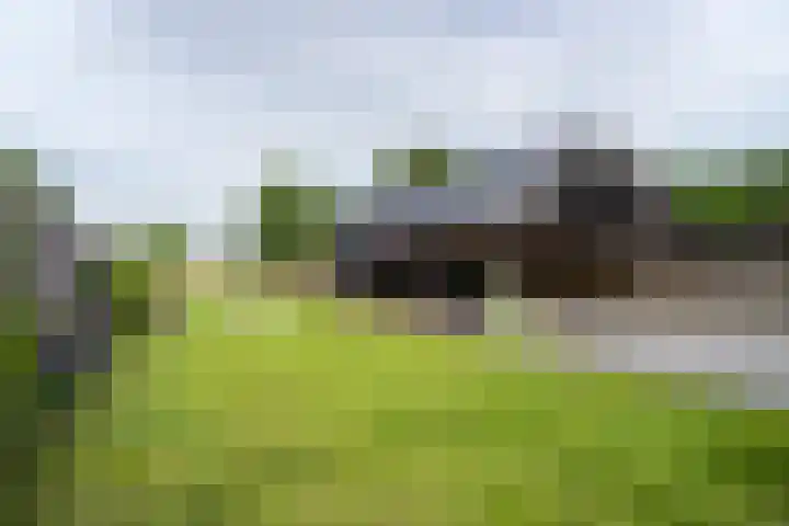 Meenteweg 75 Schildwolde thumbnail 34