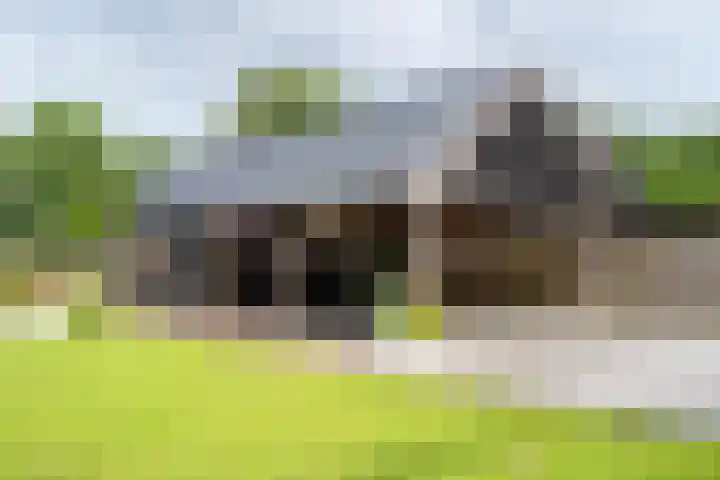 Meenteweg 75 Schildwolde thumbnail 35